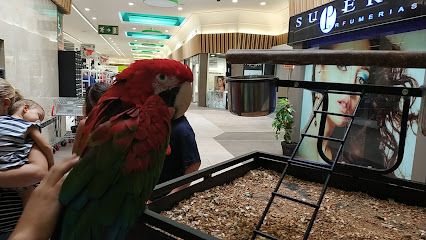 Hobby Zoo 1 Tienda de animales Hobby Zoo
