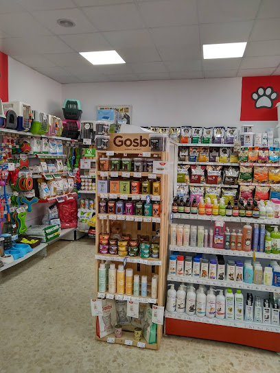Mascotas Ávila Medina 1 Tienda de animales Mascotas Ávila Medina