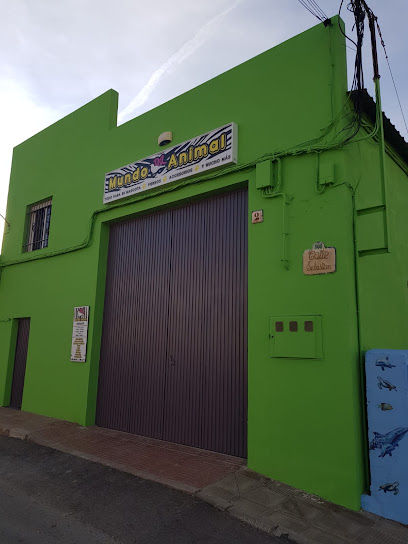 Mundo Animal D&L 1 Tienda de animales Mundo Animal D&L