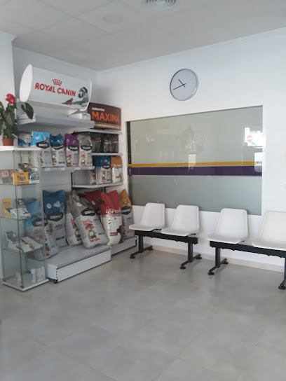 ACUDOG VETERINARIA 1 Veterinario ACUDOG VETERINARIA