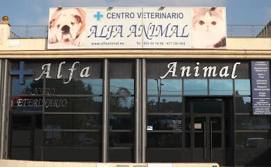 Veterinario ALFA VETERINARIOS COIN