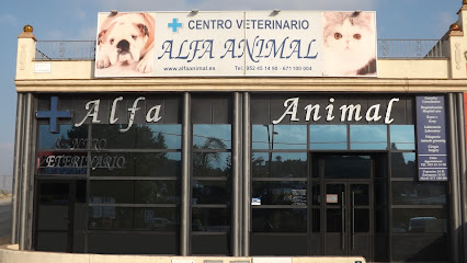 ALFA VETERINARIOS COIN 1 Veterinario ALFA VETERINARIOS COIN