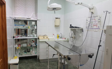 Veterinario ANUBIS Veterinarios