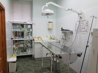 ANUBIS Veterinarios 1 Veterinario ANUBIS Veterinarios
