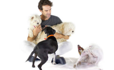 Veterinario ÁVALOS CLÍNICA VETERINARIA