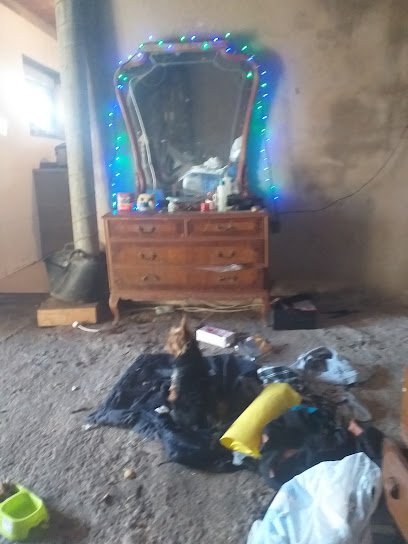 Veterinario Adolfo Fores Benet