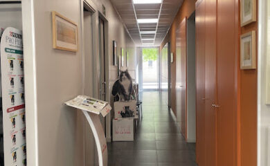 Veterinario Águeda Clínica Veterinaria