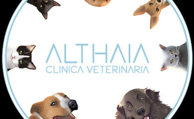 Veterinario Althaia Veterinary Clinic