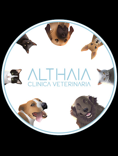 Althaia Veterinary Clinic 1 Veterinario Althaia Veterinary Clinic
