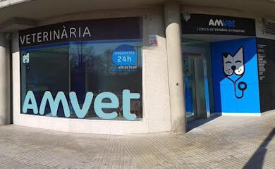 Veterinario Amvet Clínica Veterinària Alt Maresme