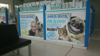 AniCura Aragó Hospital Veterinari 1 Veterinario AniCura Aragó Hospital Veterinari
