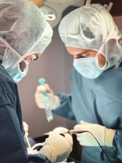 Veterinario AniCura Bahía de Málaga Referencia Veterinaria