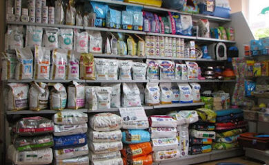 Veterinarios en Bormujos 1 Veterinario AniCura Bormujos Centro Veterinario