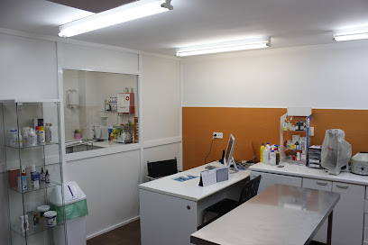 AniCura Estoril Clínica Veterinaria 1 Veterinario AniCura Estoril Clínica Veterinaria