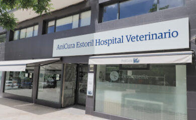 Veterinario AniCura Estoril Hospital Veterinario | Urgencias 24h