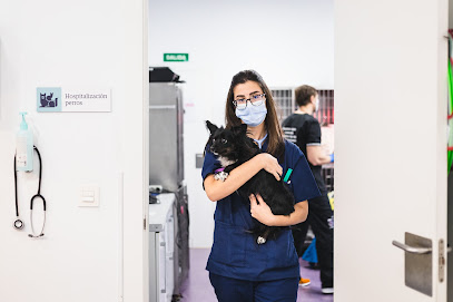 AniCura Valencia Sur Hospital Veterinario 1 Veterinario AniCura Valencia Sur Hospital Veterinario