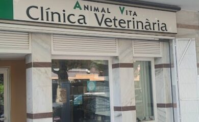 Veterinario Animal Vita