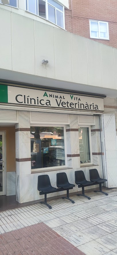 Veterinario Animal Vita