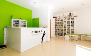 Veterinario Animals Clínica Veterinària