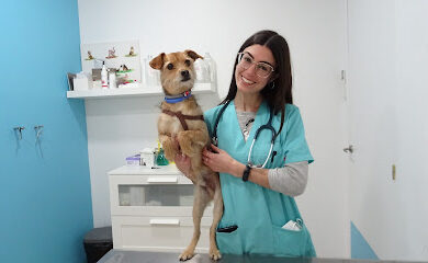 Veterinario Baloo Clínica Veterinaria