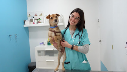 Baloo Clínica Veterinaria 1 Veterinario Baloo Clínica Veterinaria