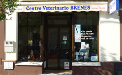 Veterinario CENTRO VETERINARIO BRENES