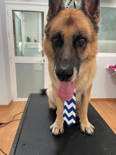 Veterinario CENTRO VETERINARIO OMEVIC