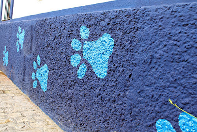 CENTRO VETERINARIO VALENCINA 1 Veterinario CENTRO VETERINARIO VALENCINA