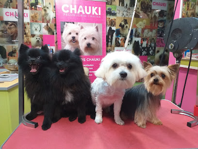 Veterinario CHAUKI VETERINARI@S