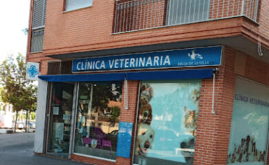 Veterinarios en Alcantarilla 3 Veterinario CLINICA VETERINARIA BRUJA DE LA VILLA