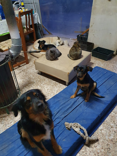 Veterinario CLÍNICA VETERINARIA CCV AMORÓS, Santa Pola