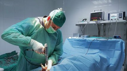 Veterinario CLÍNICA VETERINARIA CHAMÁN