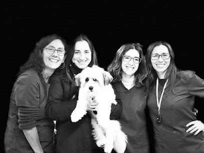 CLÍNICA VETERINÀRIA GAVÀ 1 Veterinario CLÍNICA VETERINÀRIA GAVÀ
