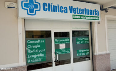 Veterinario CLINICA VETERINARIA MONFORTE