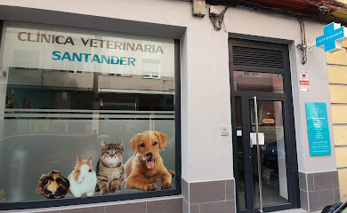 Veterinario CLÍNICA VETERINARIA SANTANDER