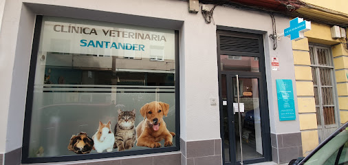 CLÍNICA VETERINARIA SANTANDER 1 Veterinario CLÍNICA VETERINARIA SANTANDER