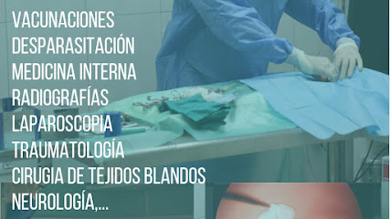 CLÍNICA VETERINARIA THE VET ALJARAFE 1 Veterinario CLÍNICA VETERINARIA THE VET ALJARAFE