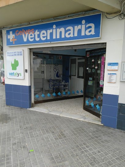 Veterinario CLINICA VETERINARIA VETALYS GELVES