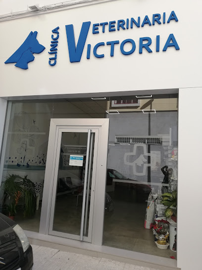 CLINICA VETERINARIA VICTORIA 1 Veterinario CLINICA VETERINARIA VICTORIA