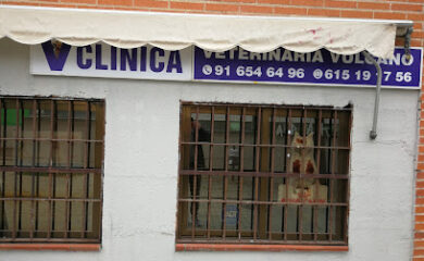 Veterinario CLÍNICA VETERINARIA VULCANO