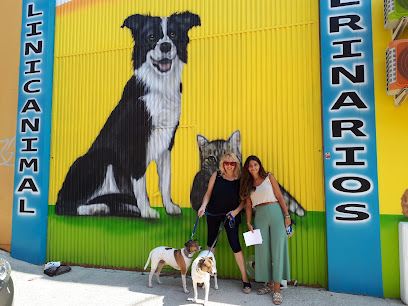 CLINICANIMAL VETERINARIOS 1 Veterinario CLINICANIMAL VETERINARIOS