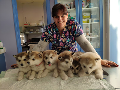 Cal Veterinaria 1 Veterinario Cal Veterinaria