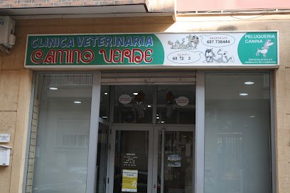 Veterinario Camino Verde