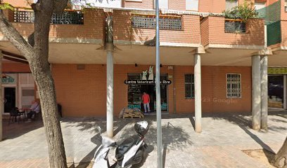 Veterinario Centre Veterinari Baix Ebre - Xavier Fernando Nofre