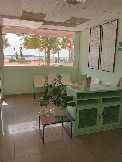 Centre Veterinari DogCat 1 Veterinario Centre Veterinari DogCat