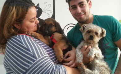 Veterinario Centre Veterinari Figueres