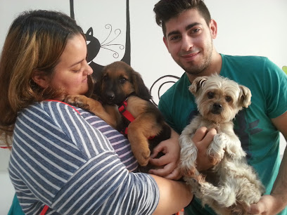 Veterinario Centre Veterinari Figueres