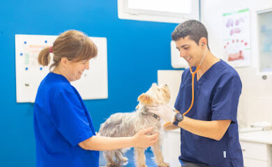 Veterinario Centre Veterinari Salou