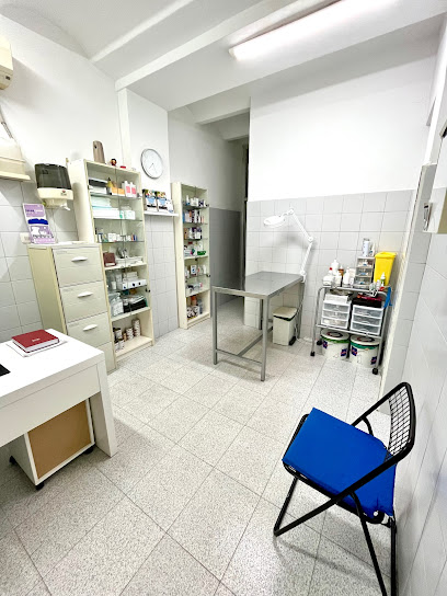 Centre Veterinari Sant Feliu 1 Veterinario Centre Veterinari Sant Feliu