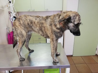 Veterinario Centre Veterinari Sant Vicenç